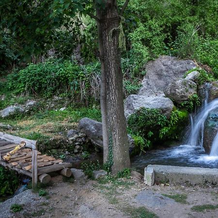 Babutaal Resort Chakrata Exterior foto