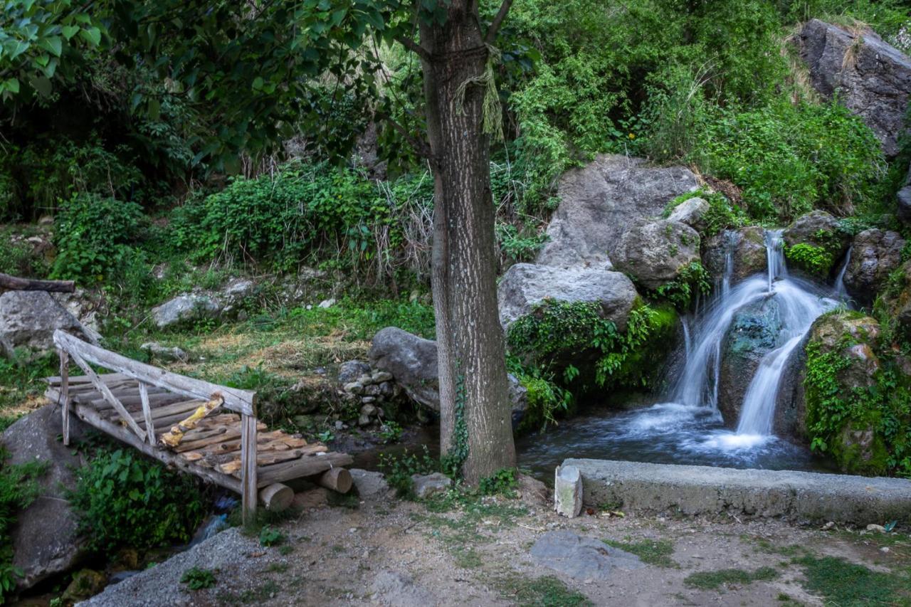 Babutaal Resort Chakrata Exterior foto